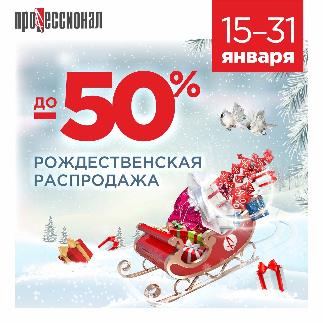 Выгодные покупки ВЕСЬ ЯНВАРЬ в "ПРОФЕССИОНАЛ"